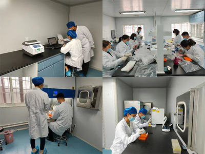 筑牢动物防疫屏障，保障畜牧业健康发展——县畜牧发展服务中心扎实开展春季重大动物疫病实验室检测工作